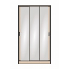 Шкаф-купе СШ-010.09