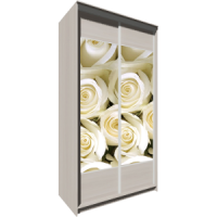 Шкаф-купе Сенатор 2-х дверный