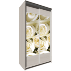 Шкаф-купе Сенатор 2-х дверный