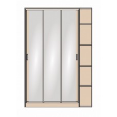 Шкаф-купе СШ-010.10