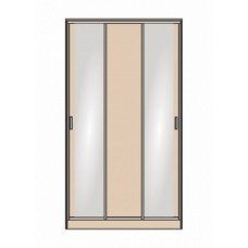 Шкаф-купе СШ-010.09